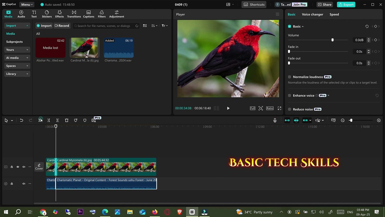 How to Reverse Sound in Capcut in PC