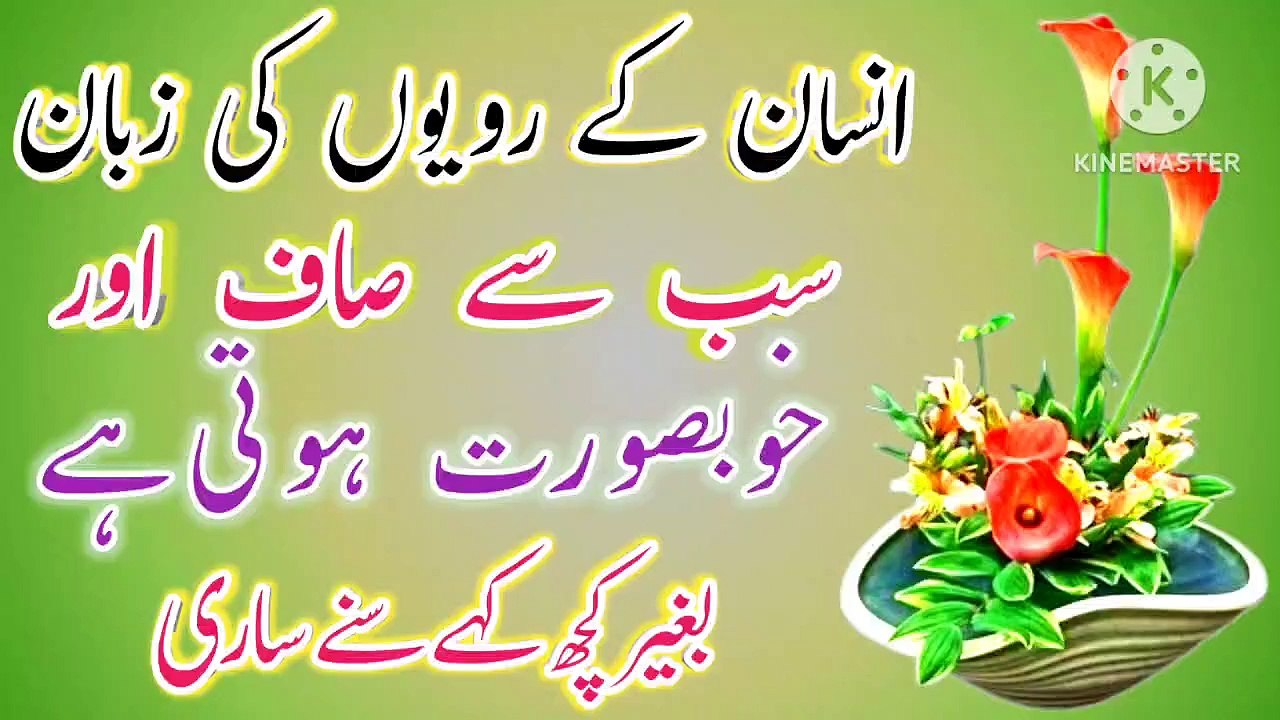 Zuban Ravaiya Quotes In Urdu💯! Islamic Quotes In Urdu💥! Islamic Urdu Quotes🔥! ISLAMIC URDU MEWAT