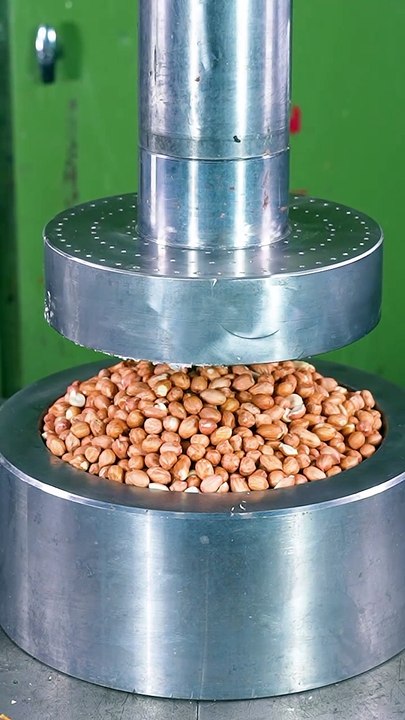 Relaxing & Fun Video for Ultimate Calm and Joy ✨