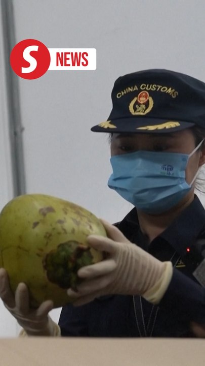 China imports first batch of fresh coconuts from Indonesia