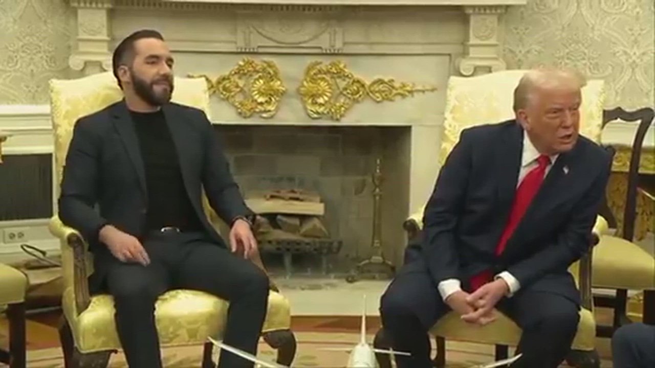 Pam Bondi, Stephen Miller, Rubio, and Bukele join forces to slam CNN reporter