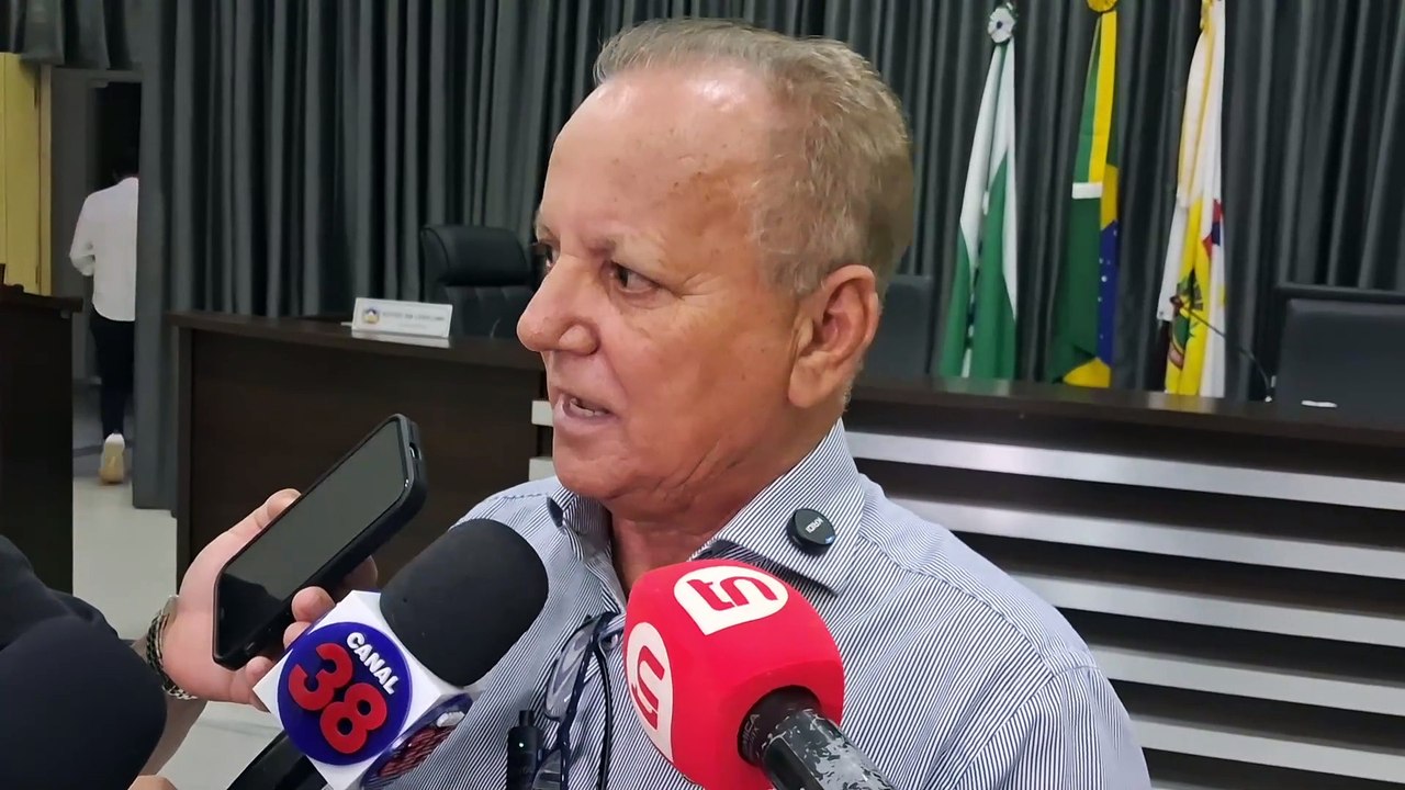 Projeto Abelha sem Ferrão é aprovado na Câmara de Apucarana