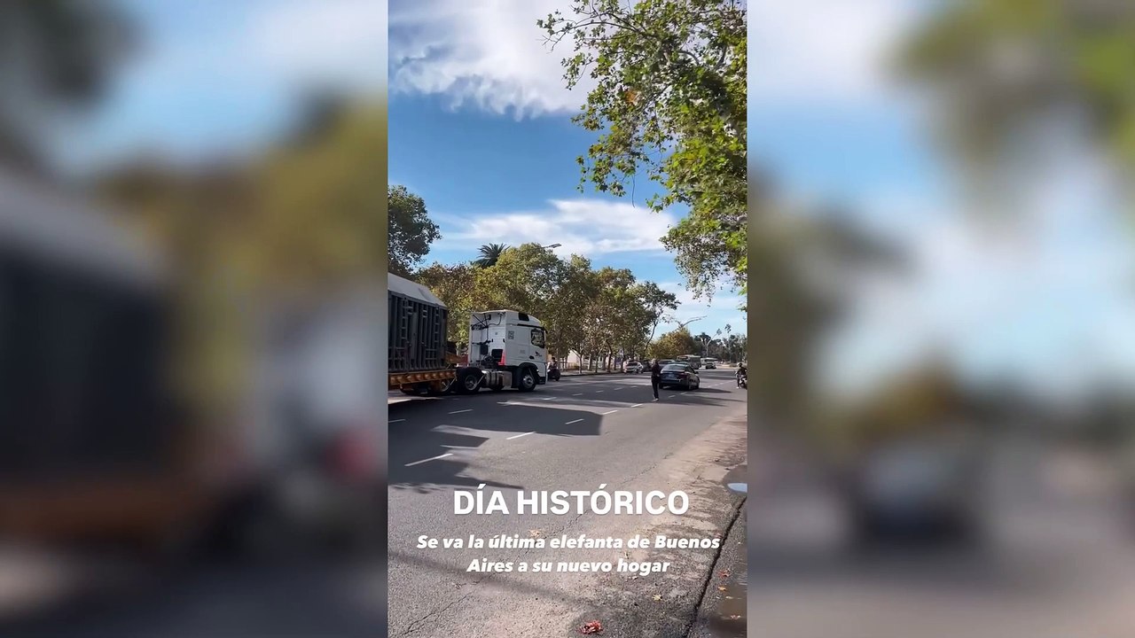 Pupy dejó el Ecoparque: la última elefanta porteña