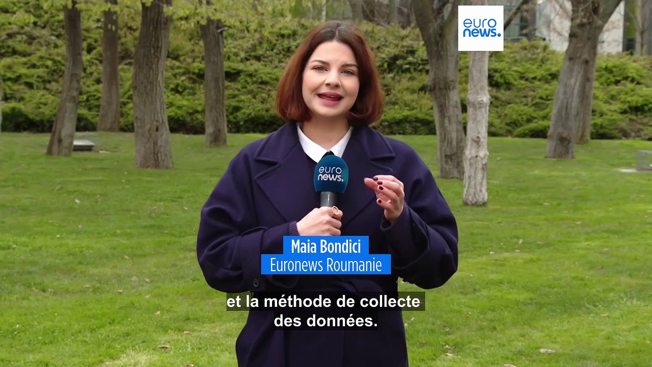 Roumanie : la population d'ours bruns est bien plus importante que les estimations précédentes
