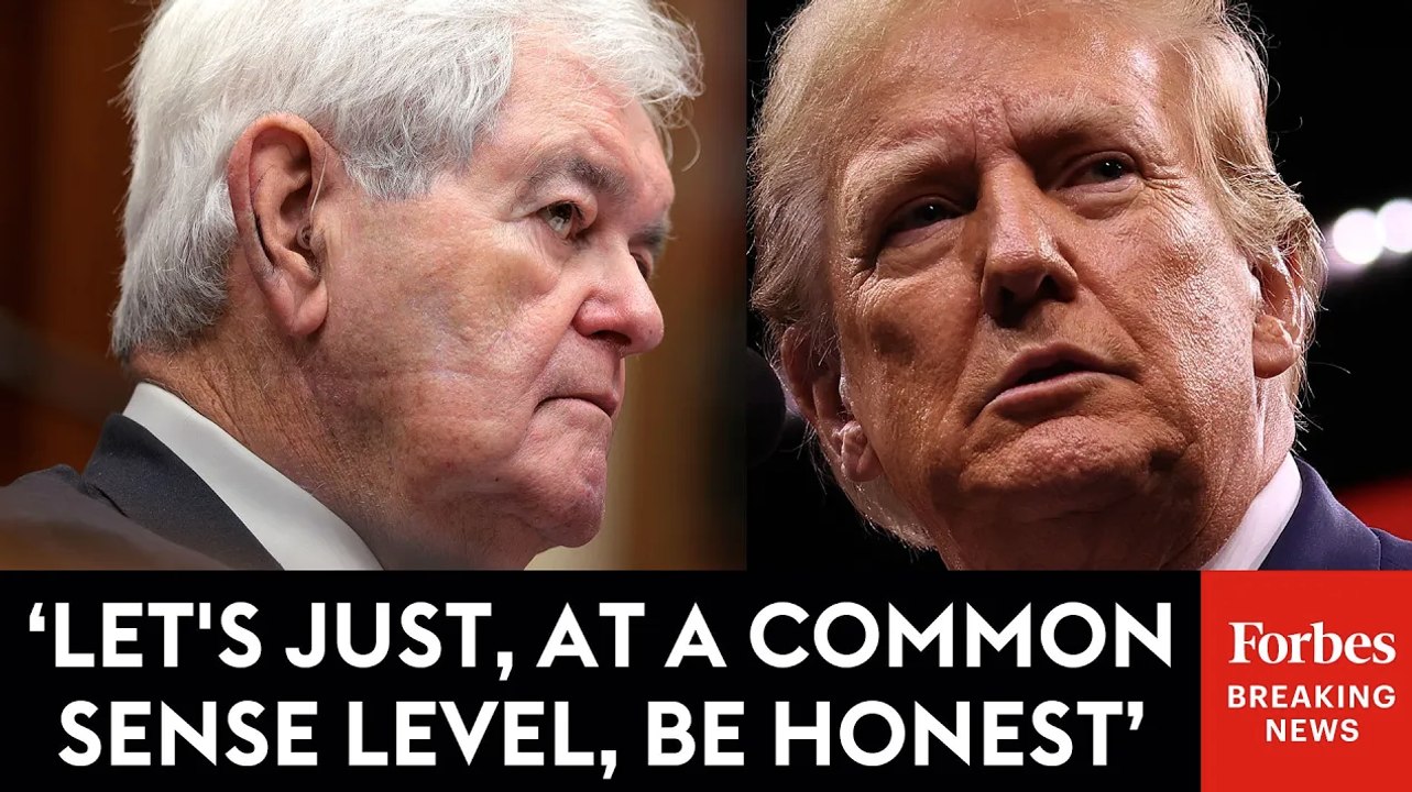 Newt Gingrich Bluntly Discusses Threat Trump Poses To 'Deeply Resistant Establishment'