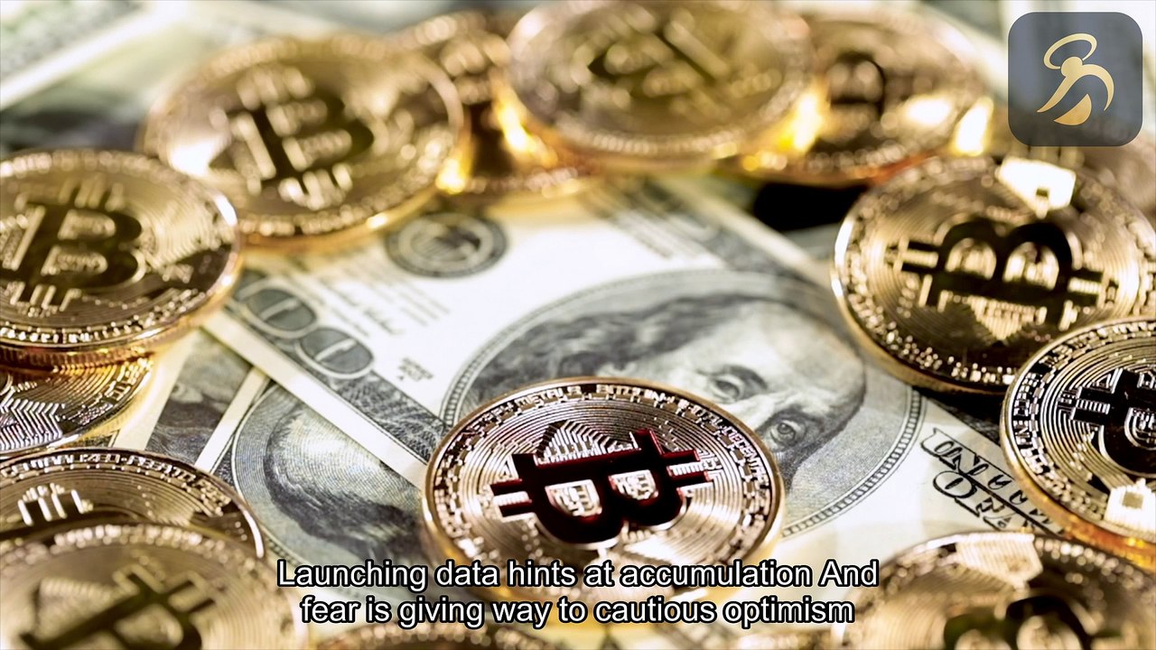 Blezef Alert: Bitcoin ETFs Stage $1.4M Rebound – Dead Cat Bounce or Trend Reversal?