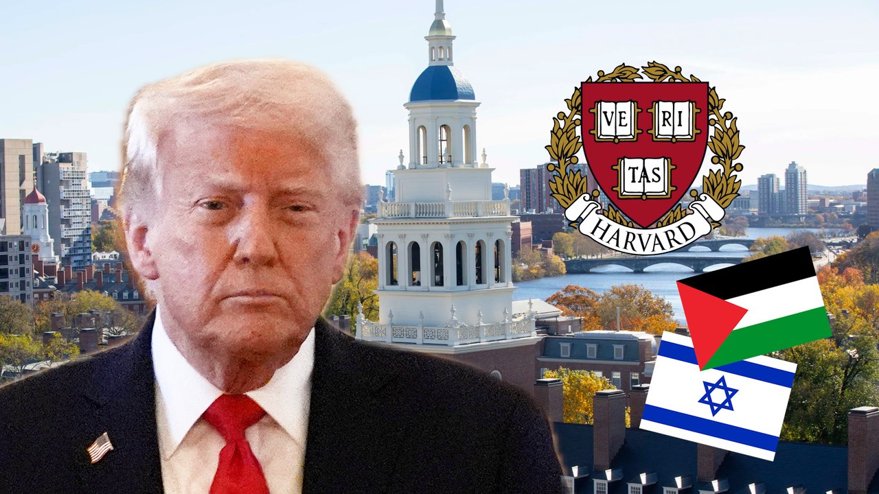 Trump vs. Harvard : on vous explique l'offensive du président américain contre l'université