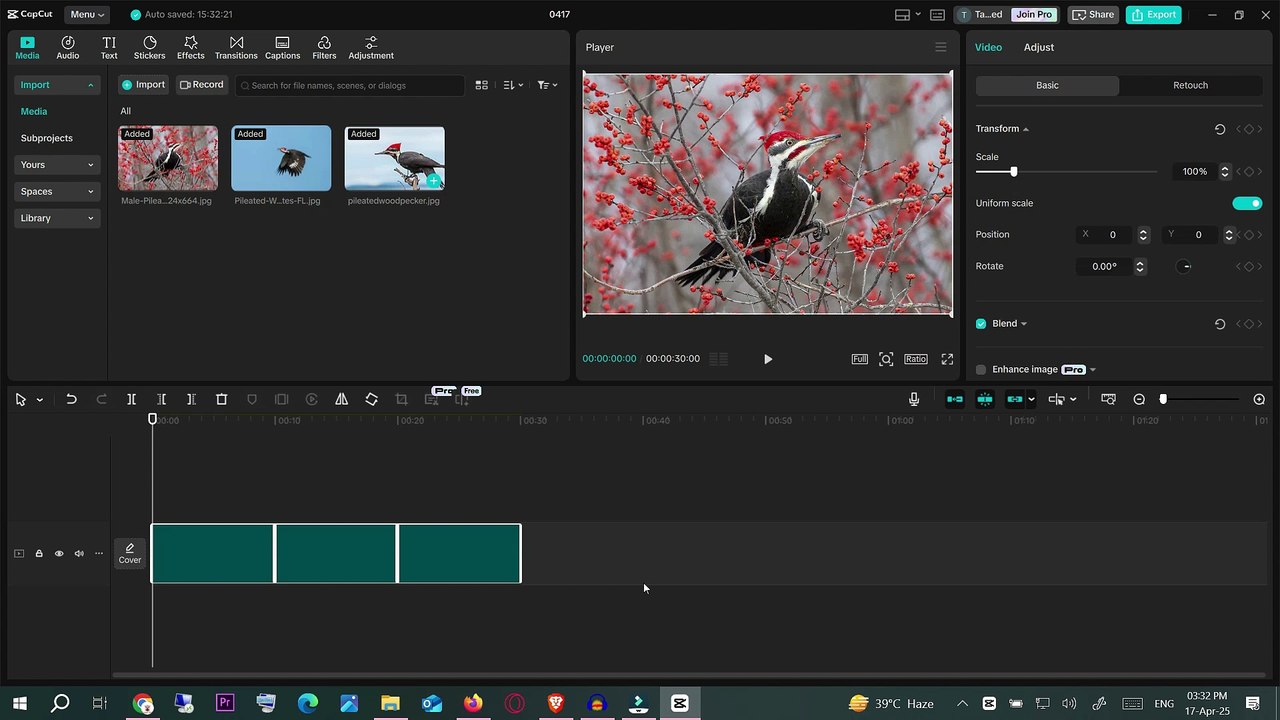 How to Crop Photo in CapCut PC