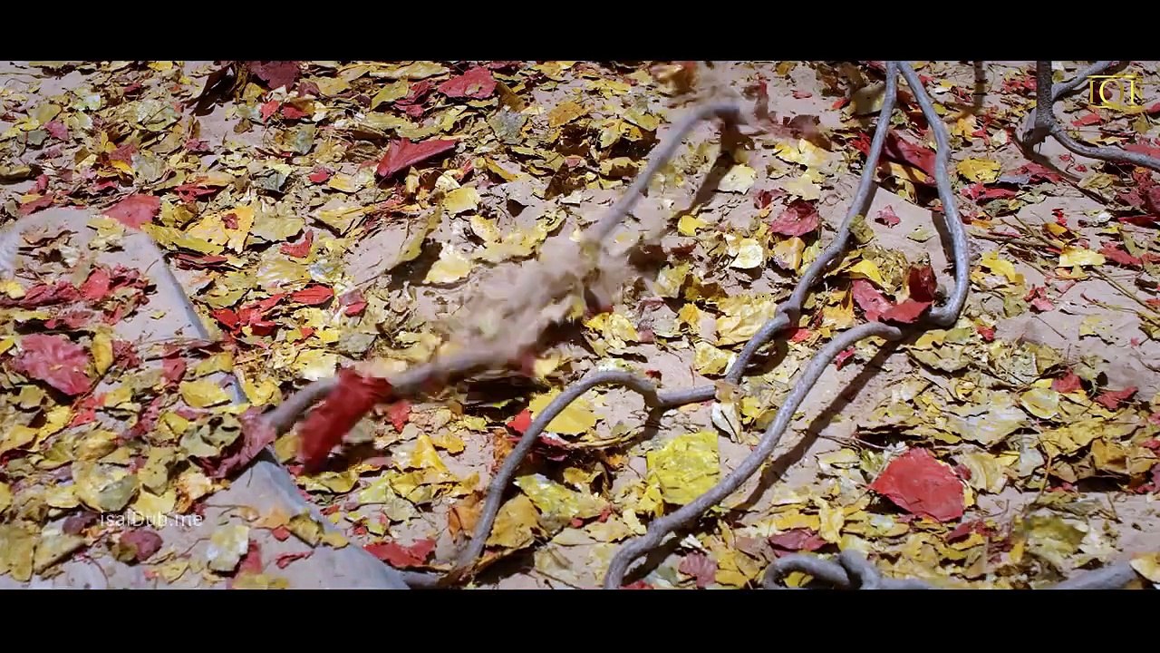 Longling Mystery Grottos