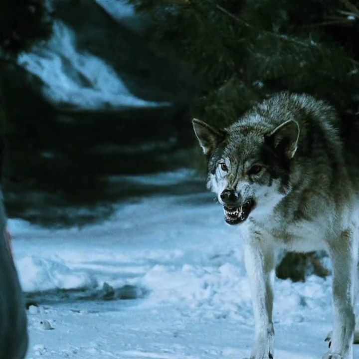 Frozen movie | Adventure movies| English movies