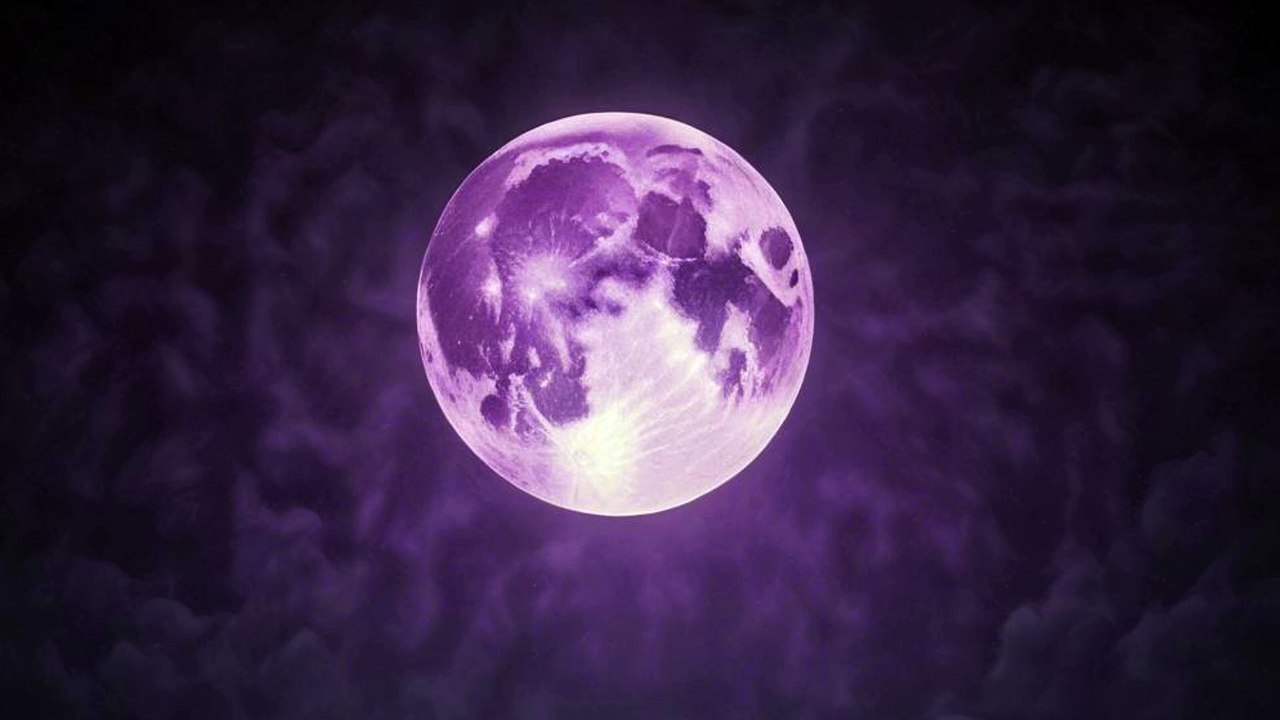 Calamondin_Oh loving you unconditionally