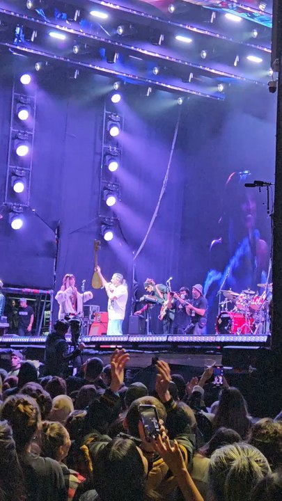 ¿Qué ocurrió con El Mono de Kapanga en el escenario de Rock en Baradero? 🎸