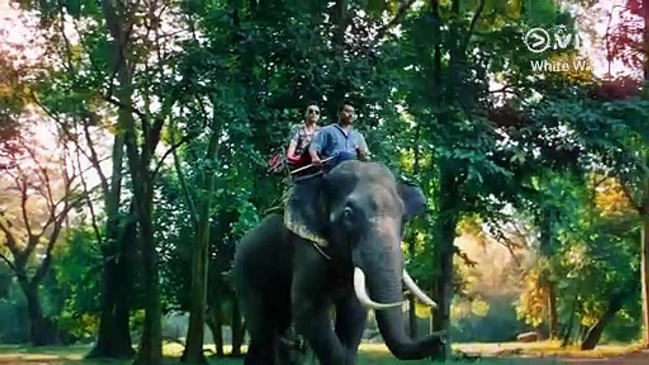 White War | show | 2020 | Official Trailer