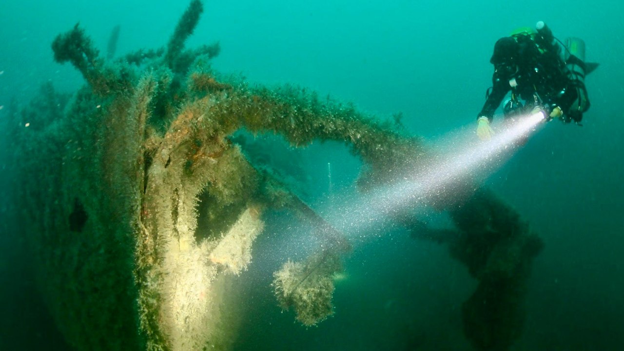 Diver bought £300 WW1 shipwreck on Facebook Marketplace