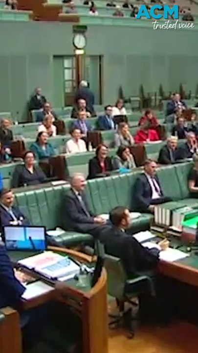 'Temu Trump': expert weighs in on Dutton for PM