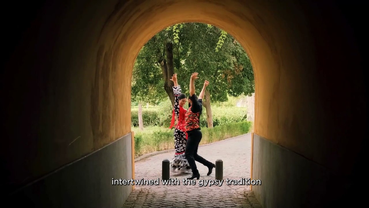 Premios Terra 2025: El Flamenco