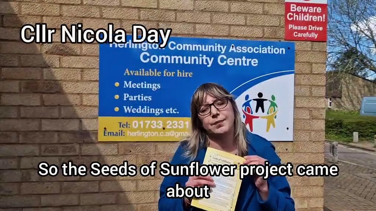 Seeds of Sunflower project