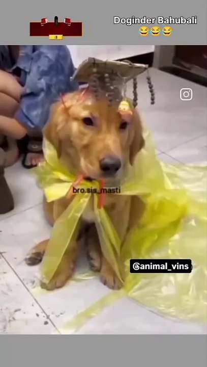 Dogindar Bahubali - Thanks for Watching