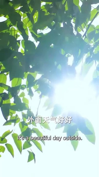 a visitor in your life chinese drama