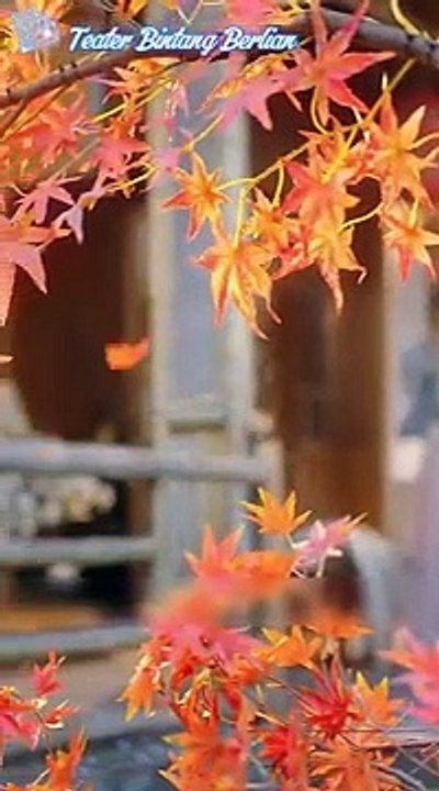 Putri tersembunyi dendam dan cinta full episode