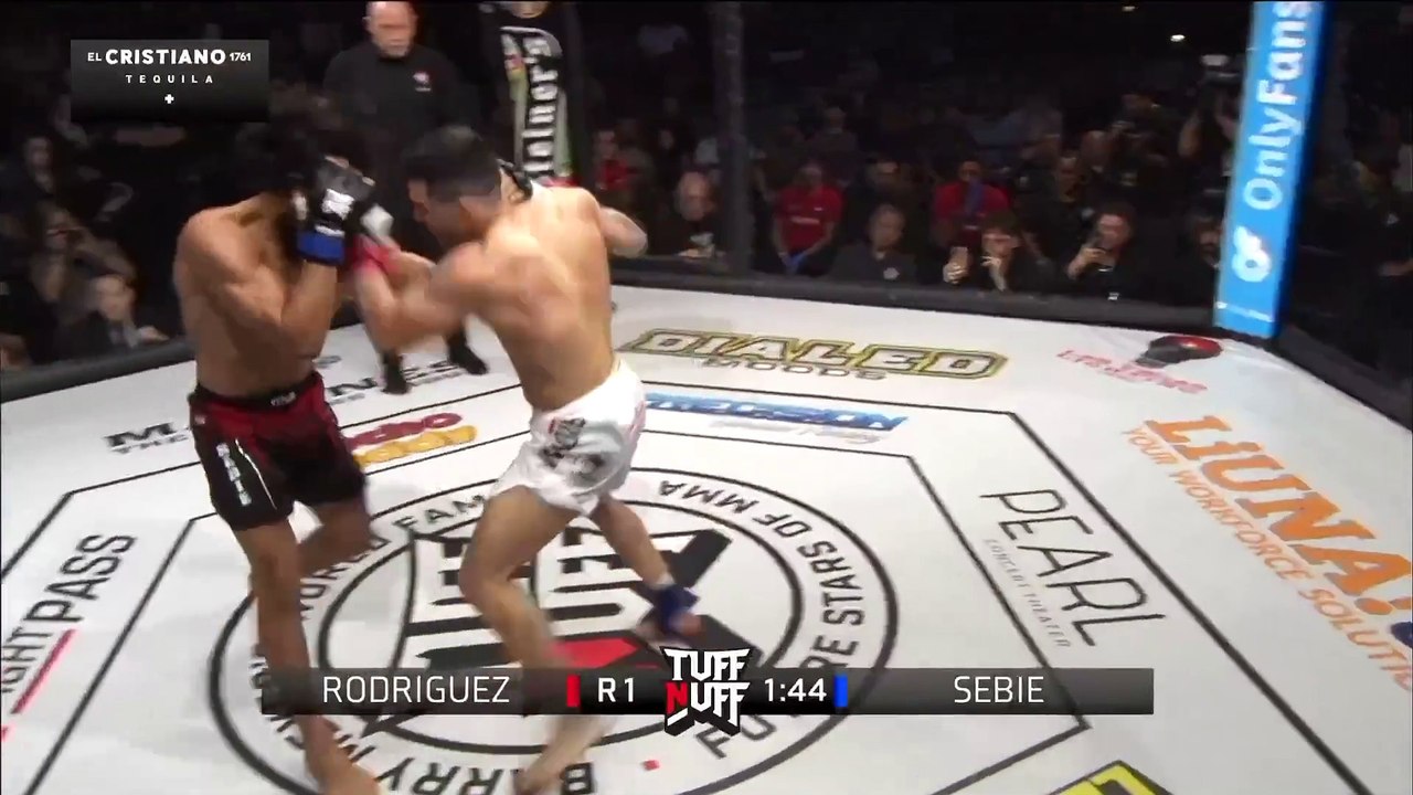 Ernesto Rodriguez vs Mahmoud Fawzy Sebie KO