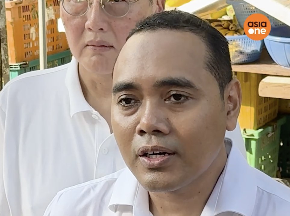 GE2025: PAP's Zhulkarnain addresses foreign interference concerns