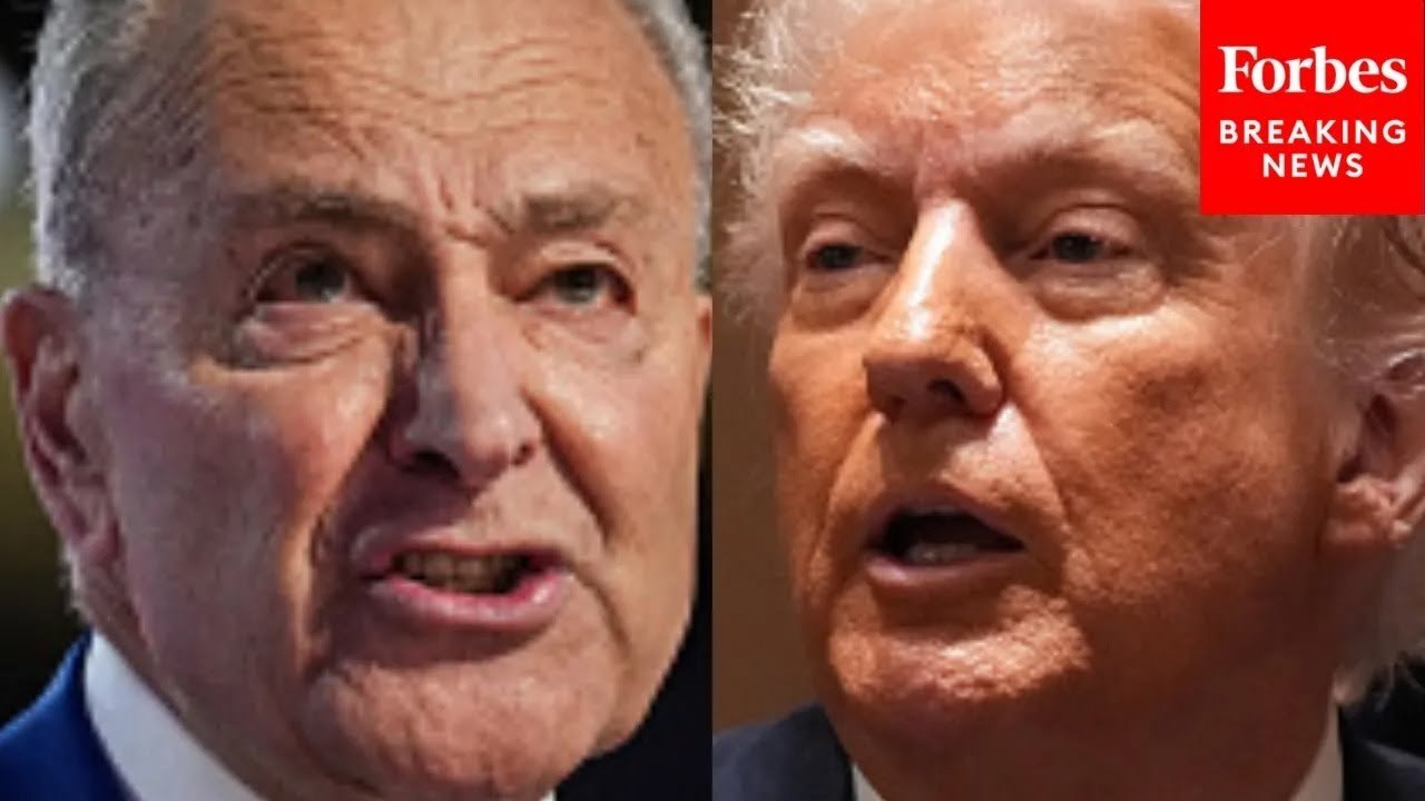 Chuck Schumer Asked Point Blank: Should Trump Be Impeached?