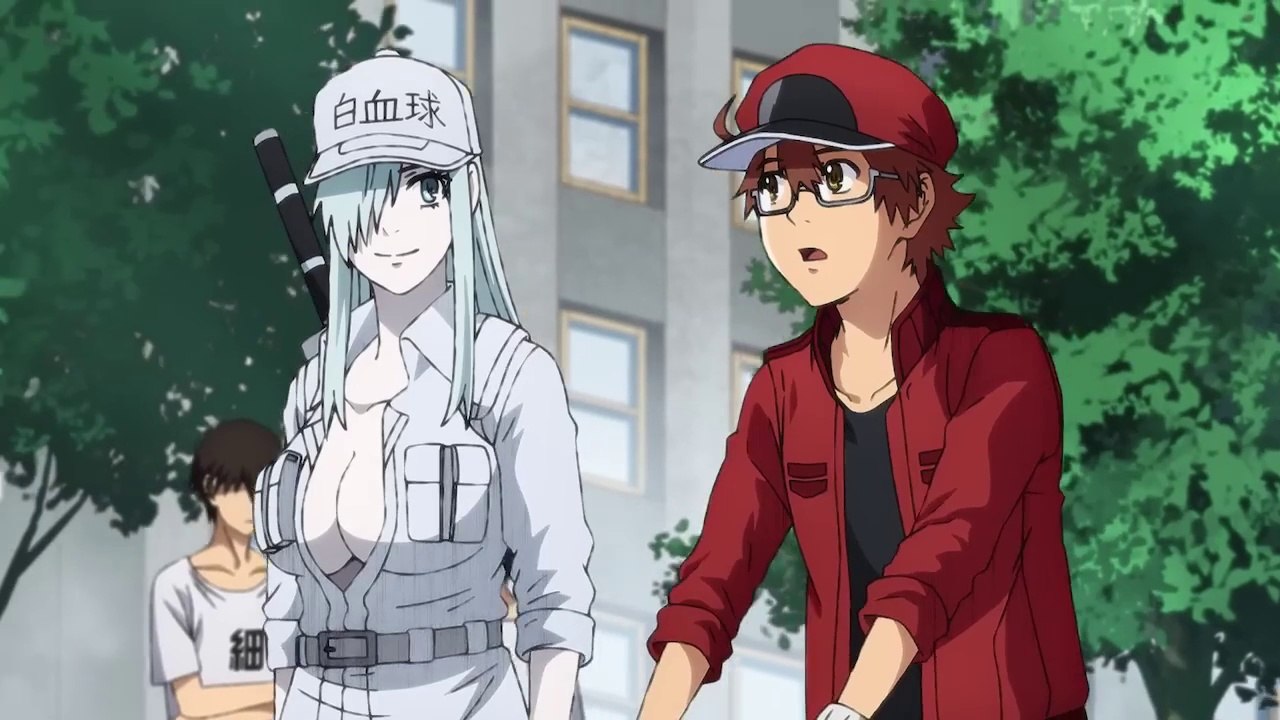 Cells at Work! Code Black Episode 13 English Sub