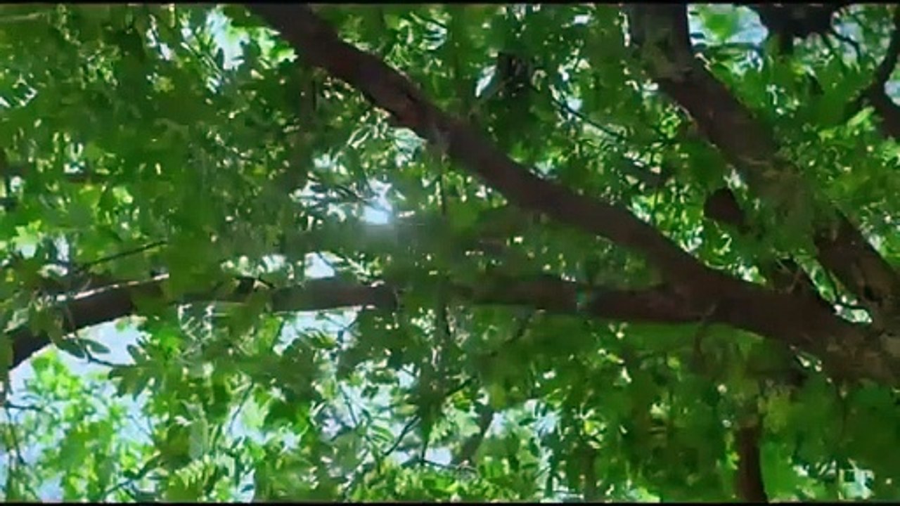 The Worm valley  Movie Explain in Bangla -