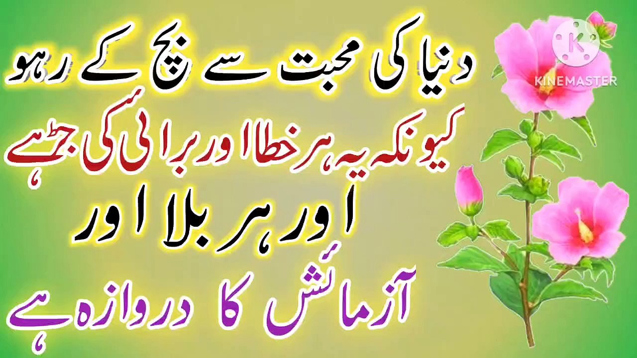 Duniya Muhabbat Quotes In Urdu💯! Islamic Quotes In Urdu💥! Best Urdu quotes🔥! ISLAMIC URDU MEWAT