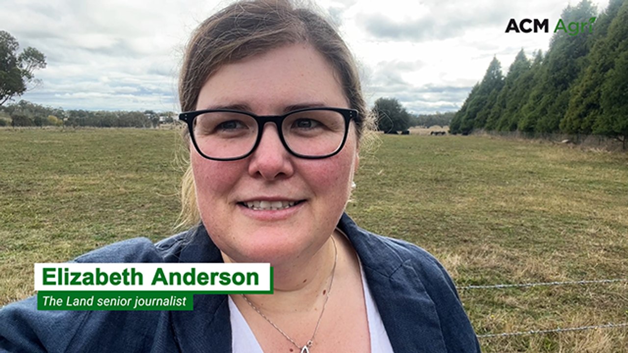 NSW government announces future of virtual fencing technology within the state