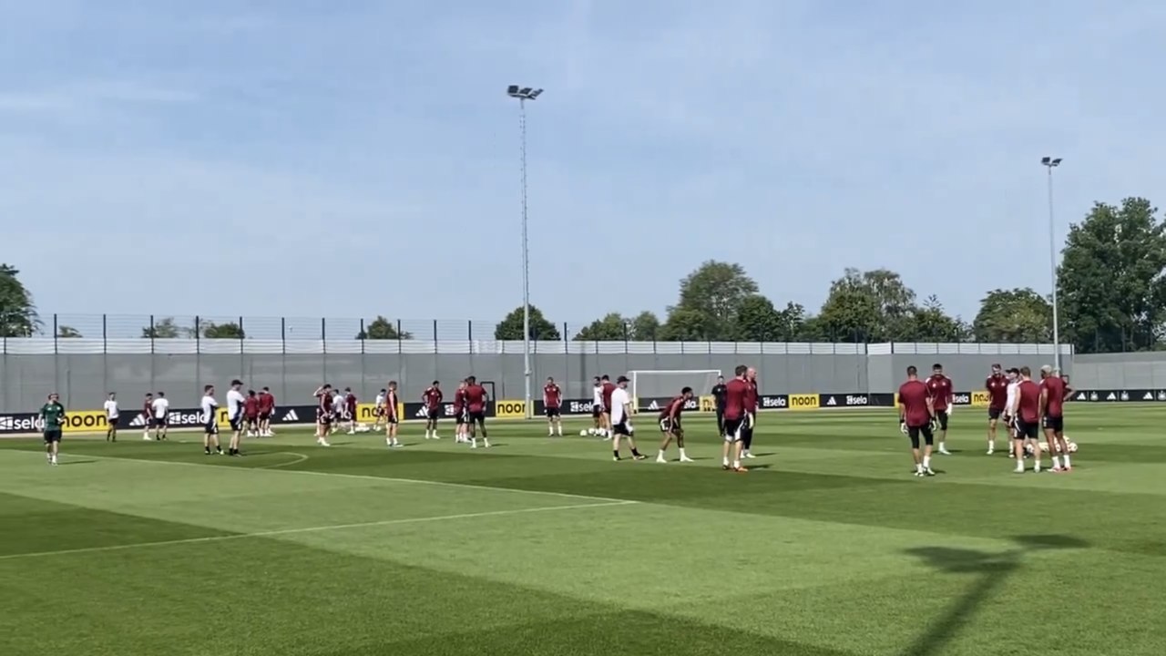 Newcastle injury update as Joelinton missing from training