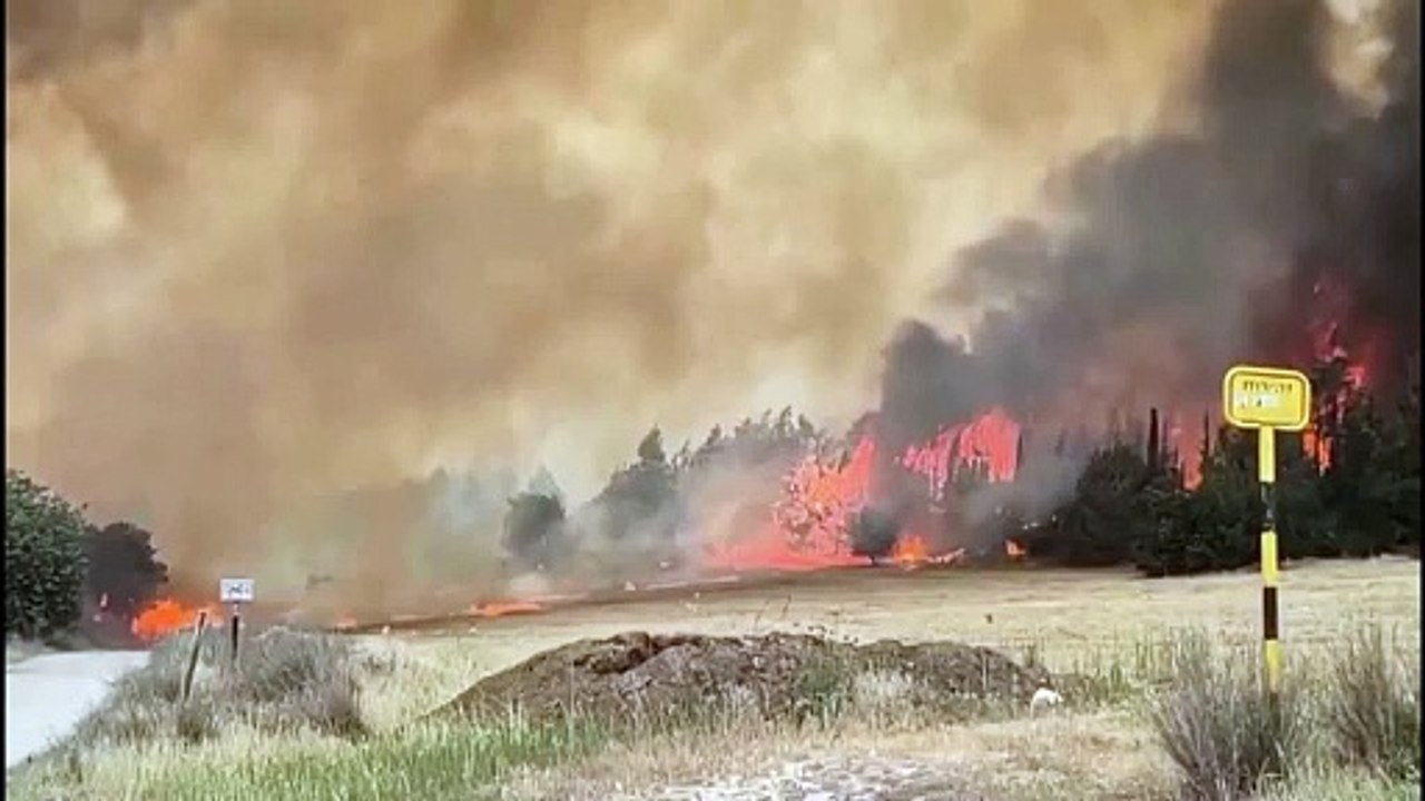 Тушение крупного лесного пожара на западе Иерусалима продолжается