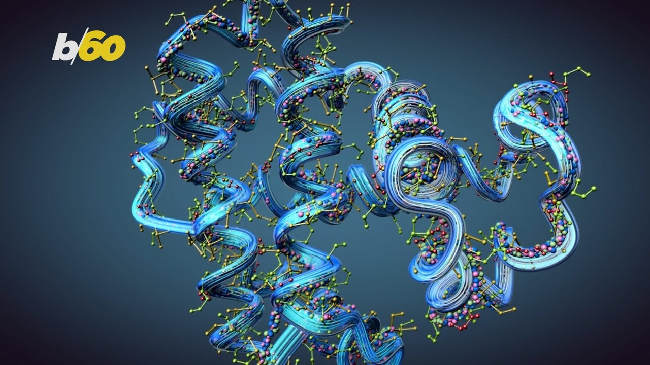 Just How Much Protein Should We Be Eating Every Day? There Is a Sweet Spot