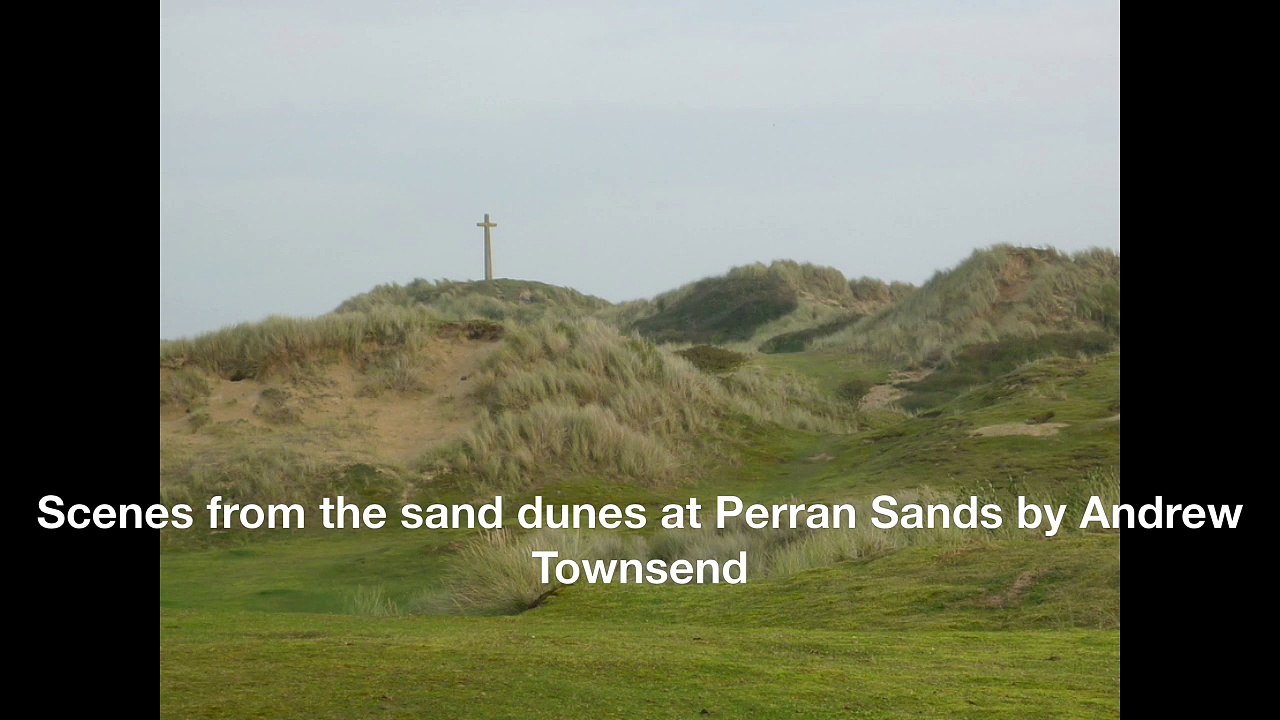 Scenes from the sand dunes at Perran Sands in Cornwall by Andrew Townsend