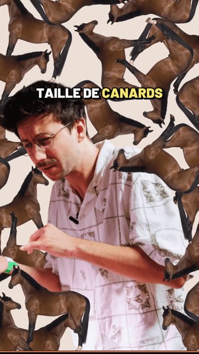 Vraiment sans hésitation, je choisis les chevaux 😬