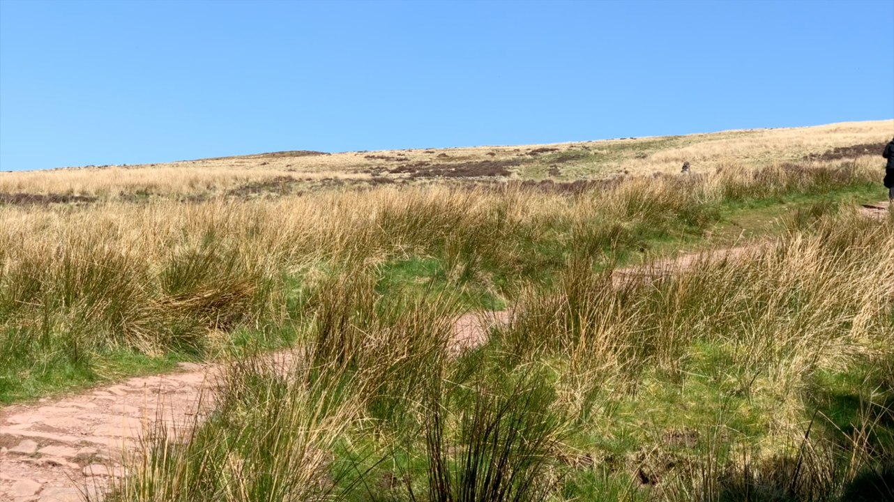 Would you do a ‘digital detox’?