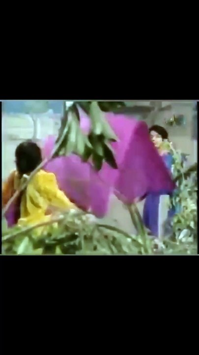 Beautiful and Evergreen Punjabi Song