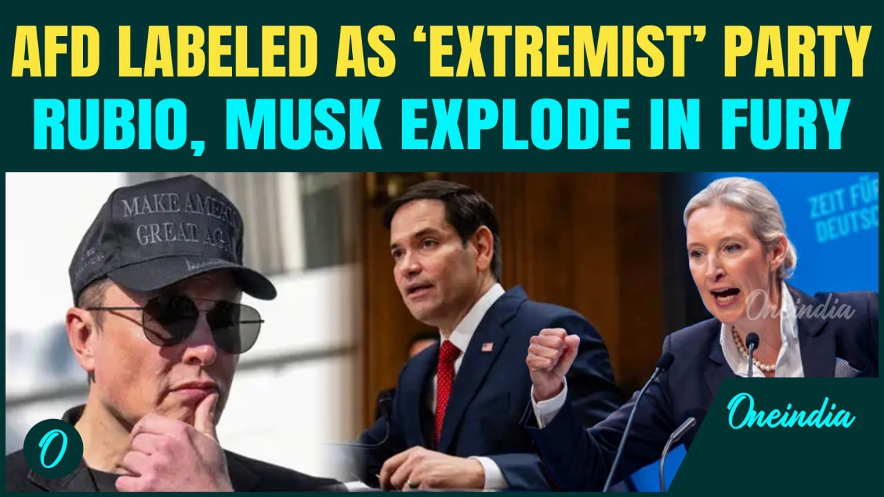 Germany Declares AfD ‘Extremist’; Rubio, Musk SLAMS Move as ‘Tyranny and Assault’ on Democracy