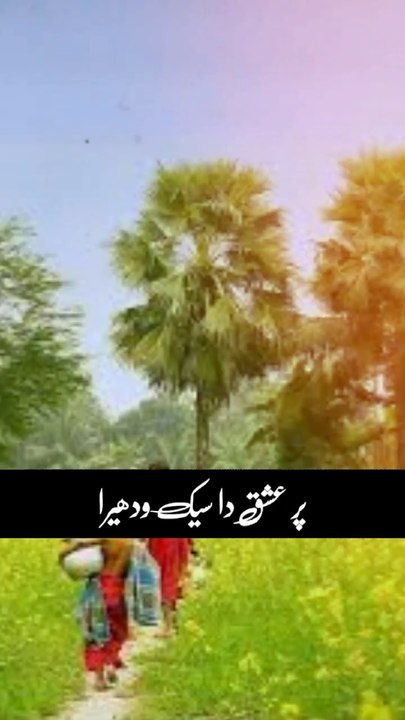 Discover the Power of Love in This Beautiful Song 💖