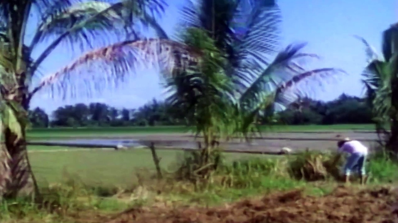 Bagamundo (1997) | Chuck Perez, Cristina Gonzales | Full Pinoy Action Movie