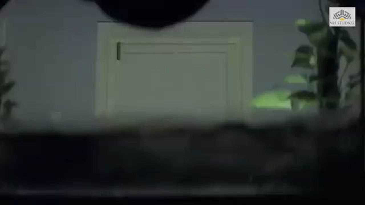 Salman Khan and preity romantic scene