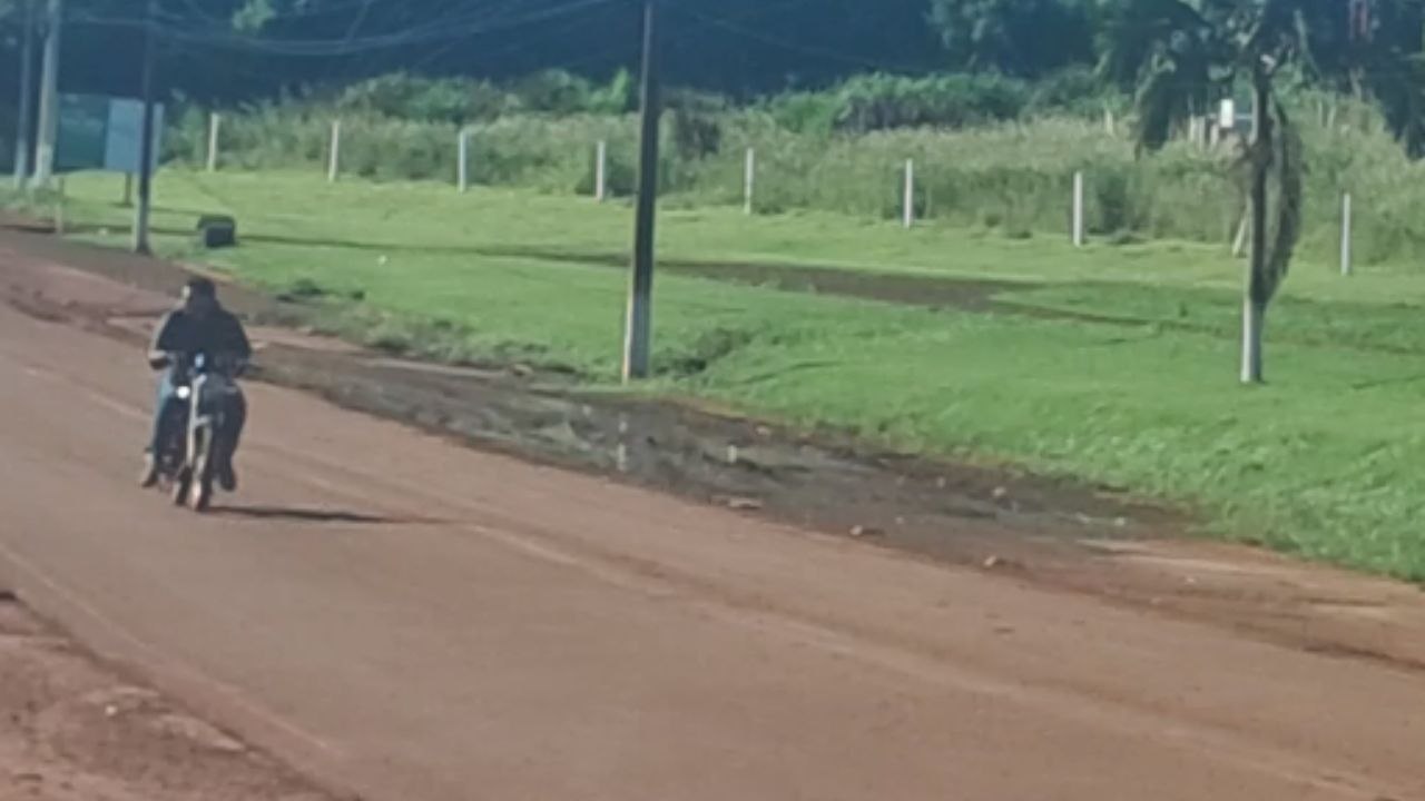 Tree left the group and walked away like it had its own plan