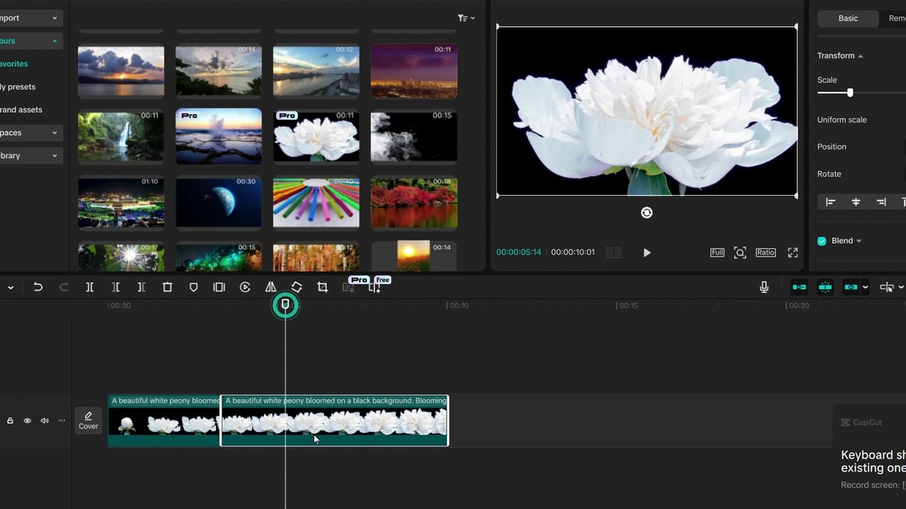 How to Reverse the Video in CapCut PC