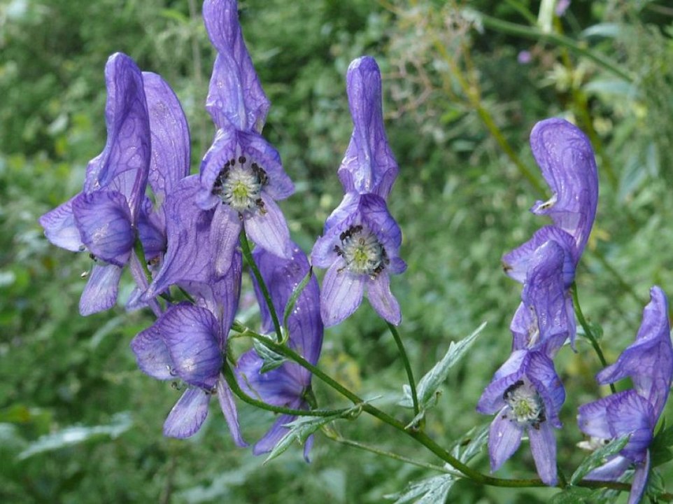 3 LIEUX parmi les plus DANGEREUX sur TERRE !