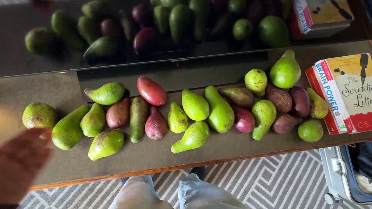 Back in Addis Ababa & Recovering from SERIOUS Food Poisoning! 🇪🇹