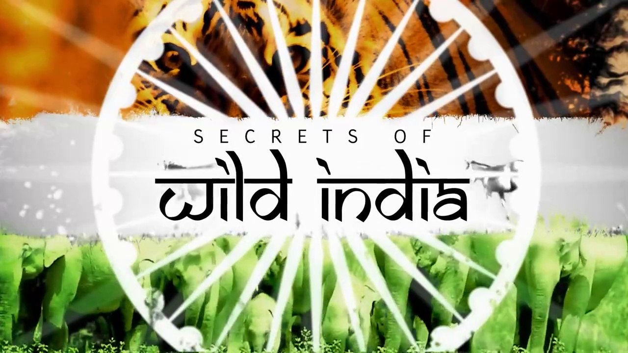 Sir David Attenborough - Secrets of Wild India - Episode 1 - Elephant Kingdom