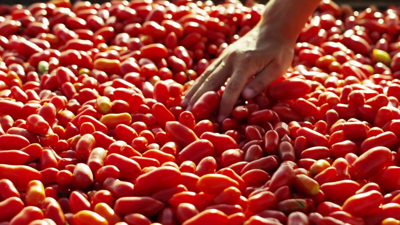 Cresce l'export delle conserve di pomodoro