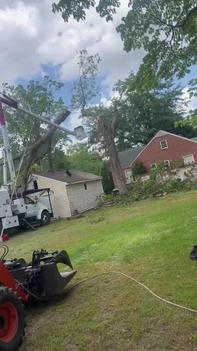 Arborist Gets Bounced From Boom