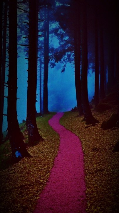 [Série audio] Backrooms : Épisode 2 : La forêt perdue 🍄